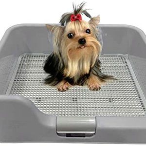 Indoor Dog Potty Tray